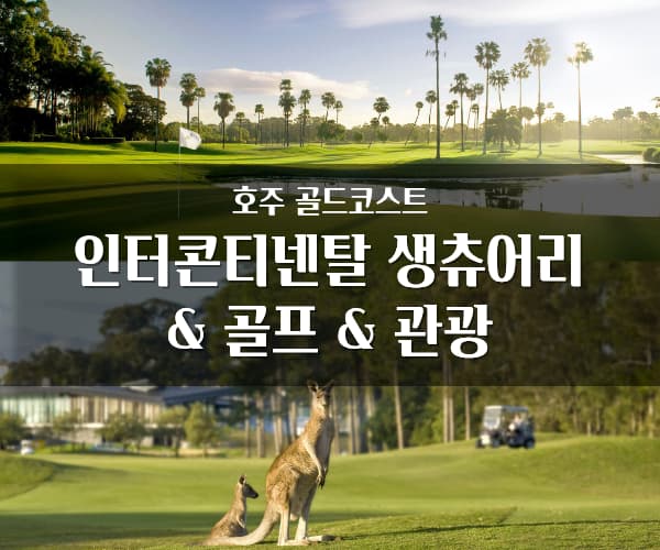 /upload/estour/file/we1100/202606/estour_cm9910_30000969.jpg